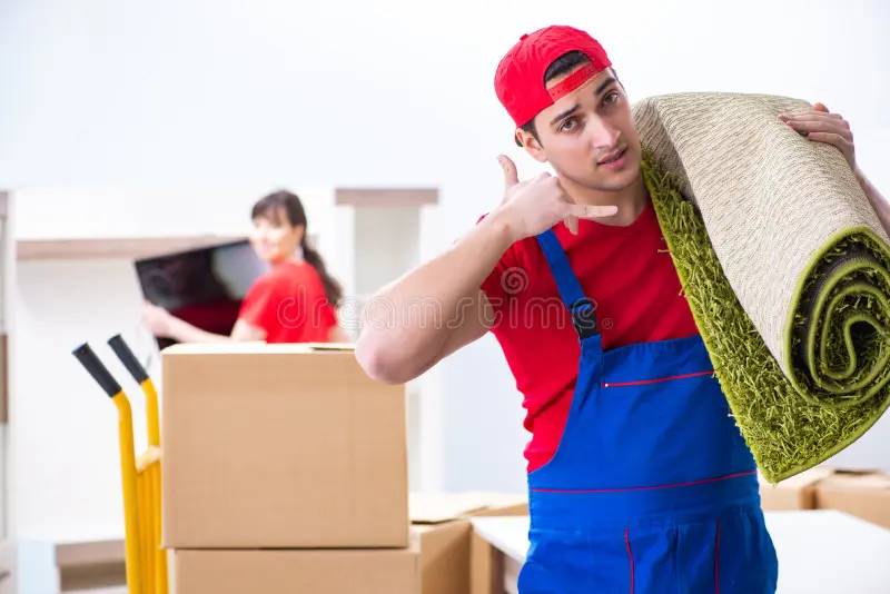 professional-movers-doing-home-relocation-professional-movers-doing-home-relocation-120078871